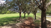 Enlarge photo 88