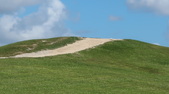 Enlarge photo 90