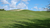 Enlarge photo 93