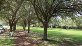 Enlarge photo 94