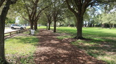 Enlarge photo 95