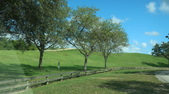 Enlarge photo 97