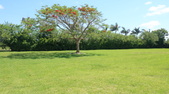 Enlarge photo 42