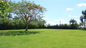 Enlarge photo 43