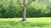 Enlarge photo 44