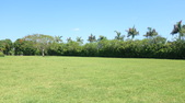 Enlarge photo 97