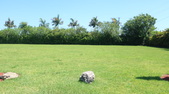 Enlarge photo 99