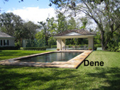 Dene