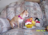 Sasha's 3rd Birthday