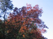 Enlarge photo 1