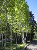 Enlarge photo 25