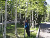 Enlarge photo 27