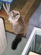 Enlarge photo 22