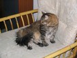 Enlarge photo 23