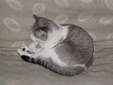 Enlarge photo 25