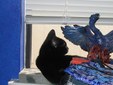 Enlarge photo 18