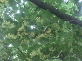 Enlarge photo 37