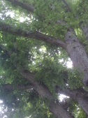 Enlarge photo 38