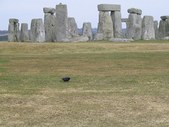 Enlarge photo 13