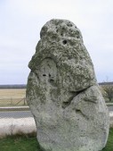 Enlarge photo 17