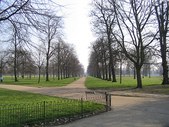 Enlarge photo 40