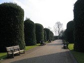Enlarge photo 43