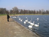 Enlarge photo 50
