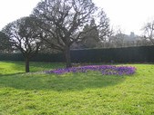 Enlarge photo 55