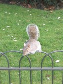 Enlarge photo 62