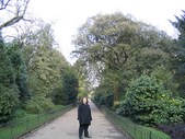 Enlarge photo 61