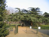 Enlarge photo 64