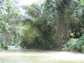 Enlarge photo 49