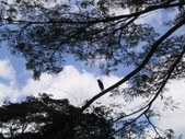 Enlarge photo 48