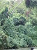 Enlarge photo 50