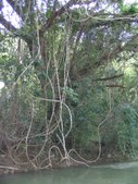 Enlarge photo 51