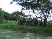 Enlarge photo 52
