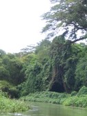 Enlarge photo 54