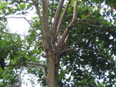 Enlarge photo 55