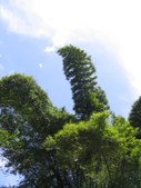 Enlarge photo 53