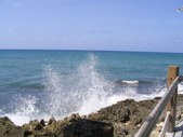 Enlarge photo 35