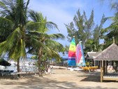Enlarge photo 32