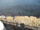 Enlarge photo 37