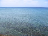 Enlarge photo 41
