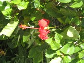 Enlarge photo 42