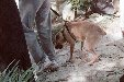 Enlarge photo 16