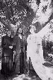 Enlarge photo 57
