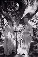 Enlarge photo 76