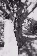 Enlarge photo 59