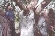 Enlarge photo 113