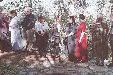 Enlarge photo 114